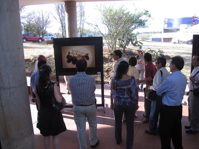 Exposición fotográfica Los Alteños y la Avicultura