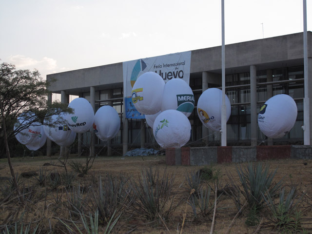 Globos de helio